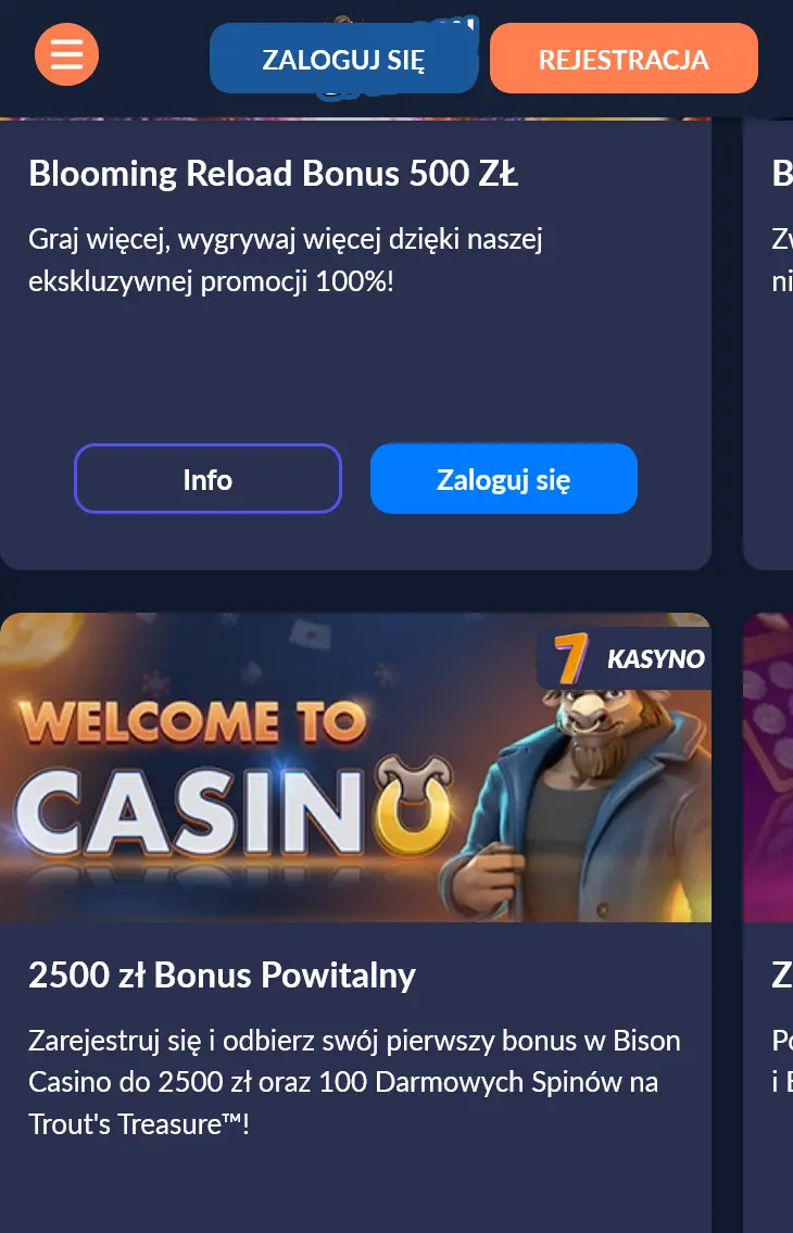 playbison casino promocje